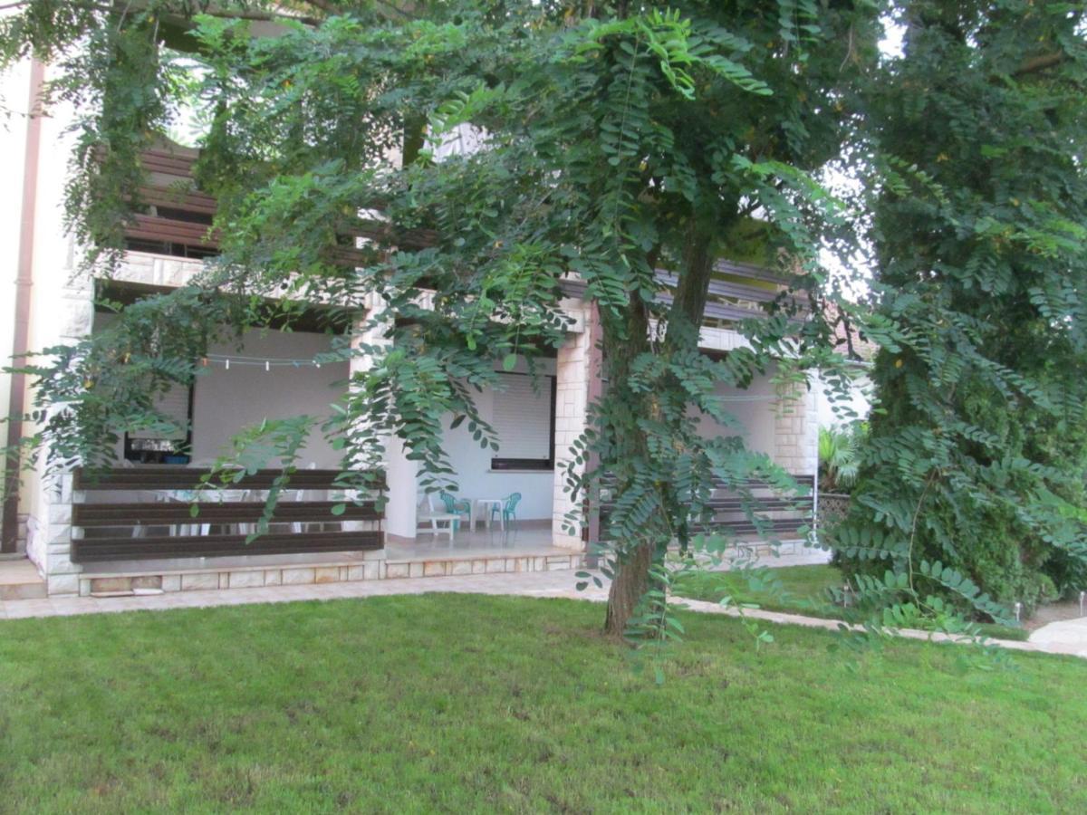 Apartments Zvezdica*** With Garden ザンブラティヤ エクステリア 写真